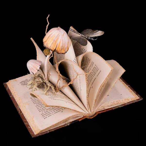 LIBRO