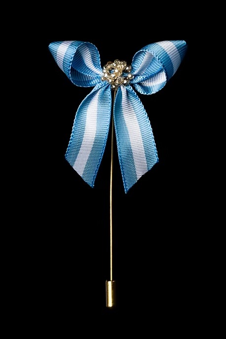 BROCHE ESCARAPELA CINTA